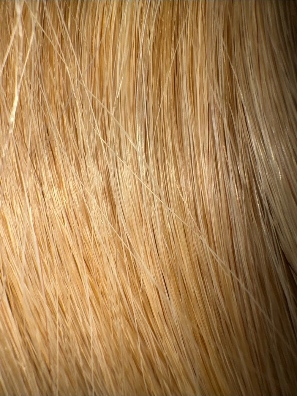 Elegance. 100% human hair. Straight.